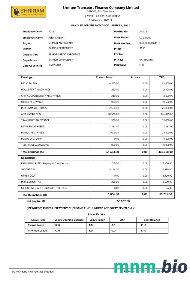 Indie SHRIRAM Transport Finance Company Limited odcinek wypłaty w formatach Word i PDF